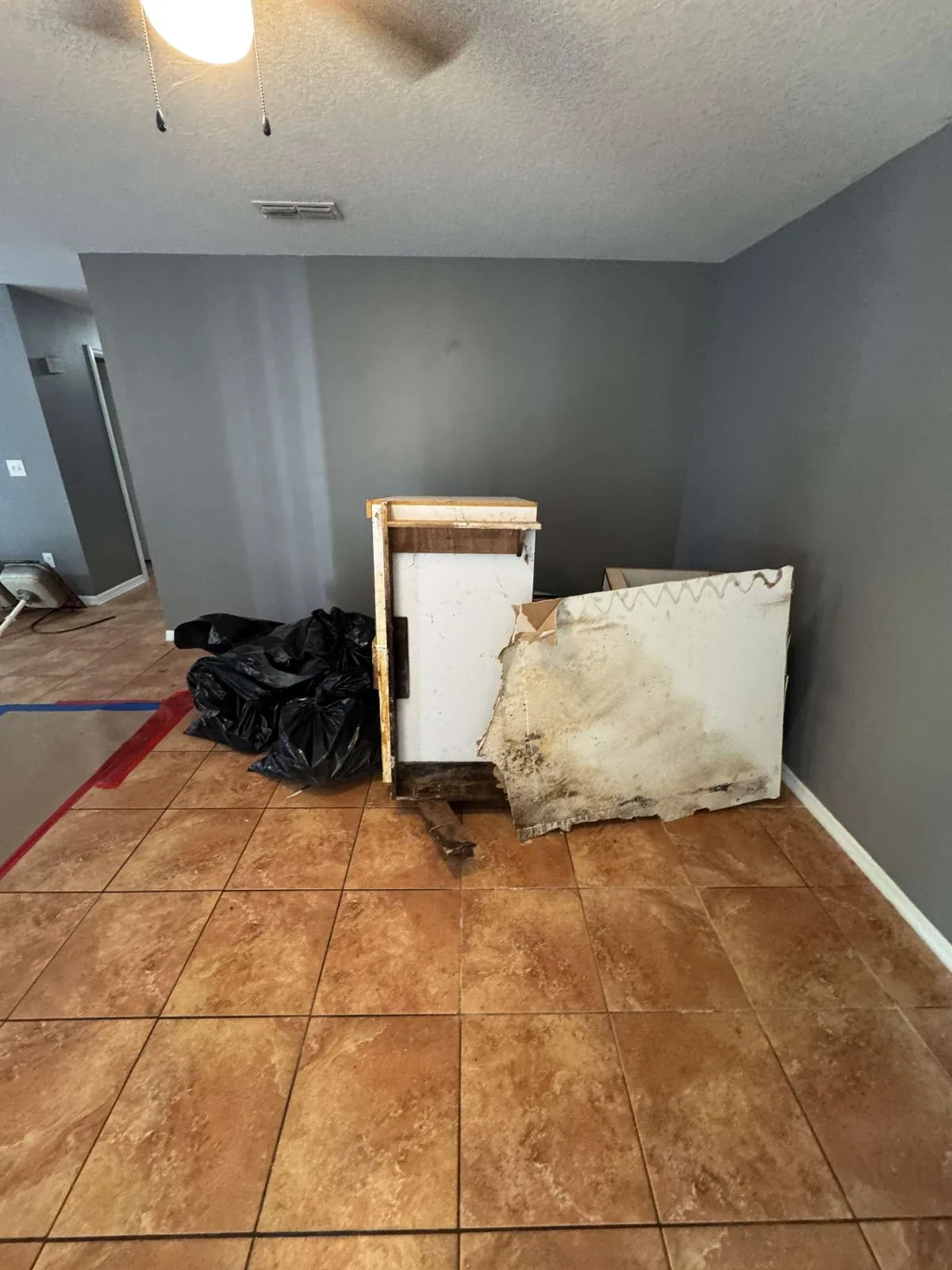 A moldy old cabinet carcass and trash bags hauled out during the property rehab clean-out