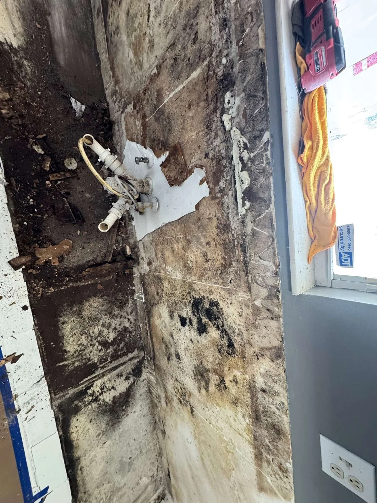 Water damage and mold discovered behind the old cabinets during a Tampa property rehabilitation