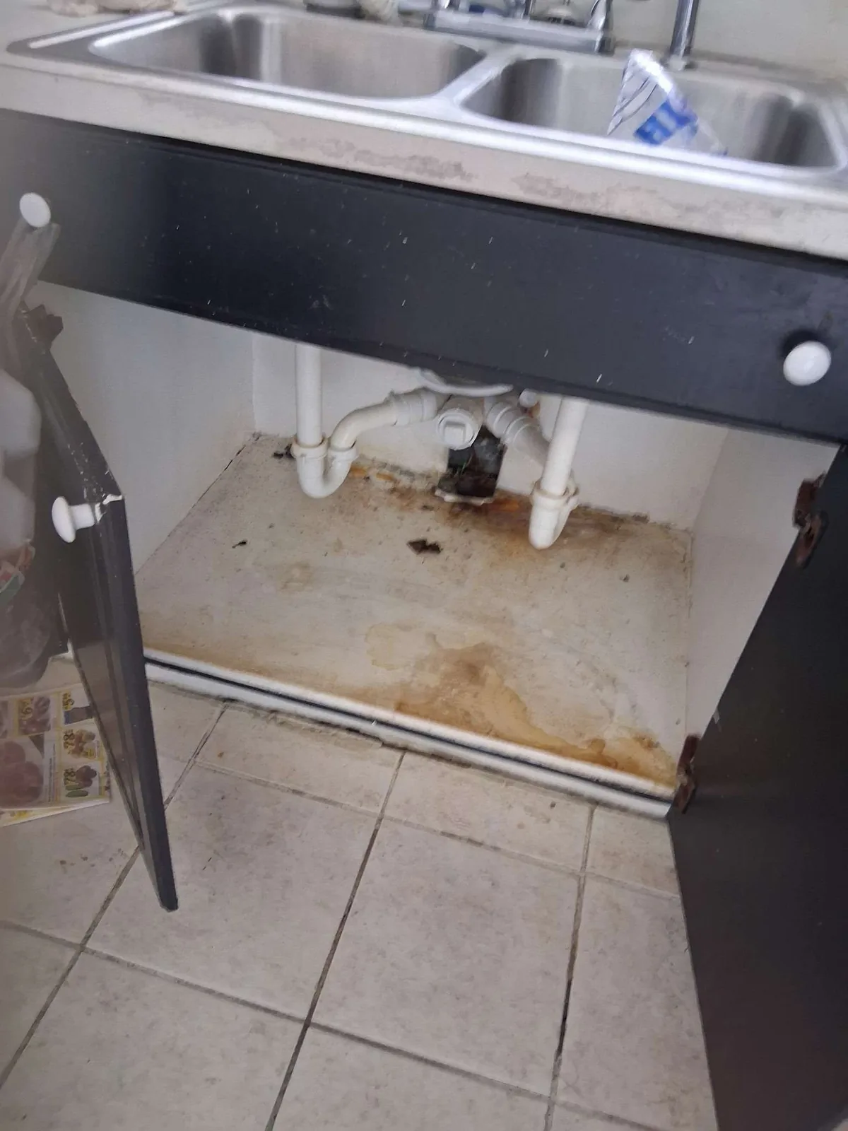 A water-stained, grimy under-sink cabinet base with worn plumbing at a Tampa property before rehabilitation